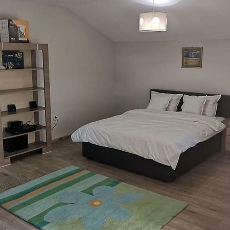קלוז'-נאפוקה Viking Apartment Grigo מראה חיצוני תמונה