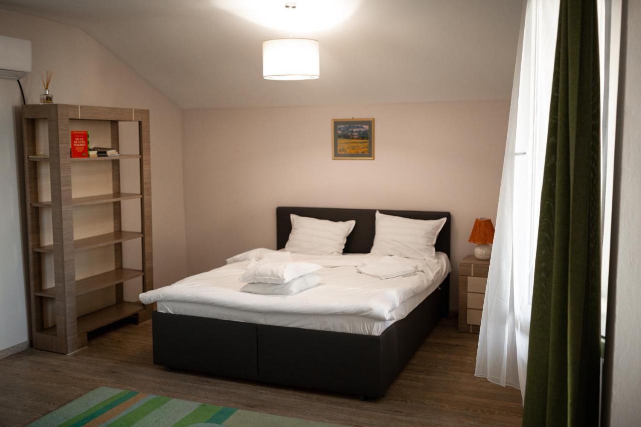 קלוז'-נאפוקה Viking Apartment Grigo מראה חיצוני תמונה