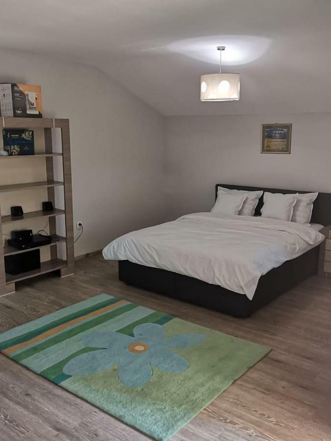 קלוז'-נאפוקה Viking Apartment Grigo מראה חיצוני תמונה